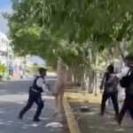 Políticos reaccionan a la muerte del expresidente Luis Echeverría