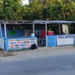 Clausuran fiesta clandestina con menores de edad en Chicxulub Puerto