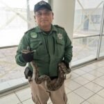 Tragedia en Isla Mujeres: Lancha turística vuelca dejando víctimas mortales, incluido un niño